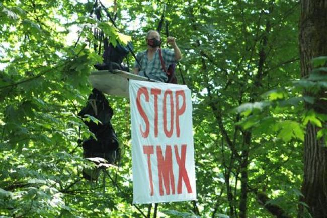 STOP TMX trees occupation