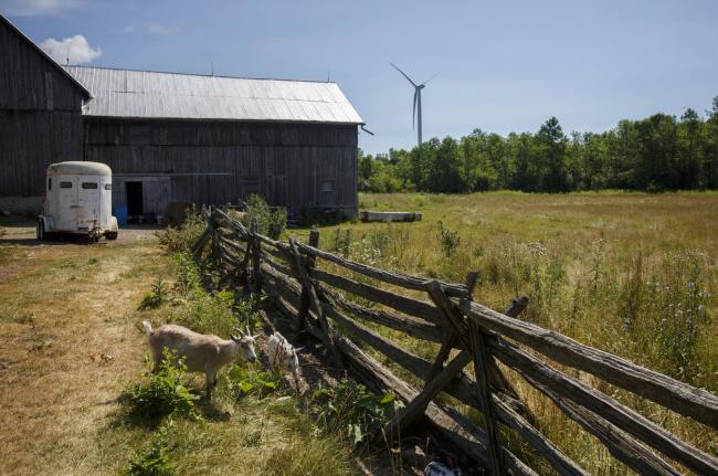 A farm in Prince Edward County, Ontario seen on July 19, 2018. Photo by Cole Burston