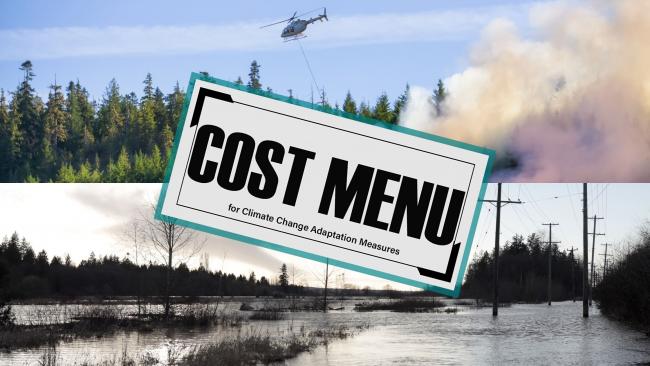 Cost menu for climate change adaptation
