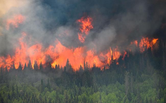 Flames reach upwards along the edge of a wildfire as seen from a Canadian Forces helicopter surveying the area near Mistissini, Quebec, Canada June 12, 2023. CANADIAN FORCES VIA REUTERS