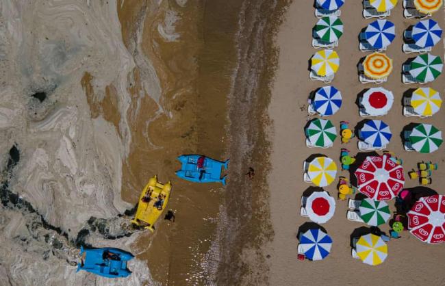 Pedalos on the banks of the Marmara Sea covered with sea snot. As the climate crisis heats the seas, plankton are on the move, with potentially profound consequences for ocean life and humans. Photograph: Yasin Akgül/AFP/Getty