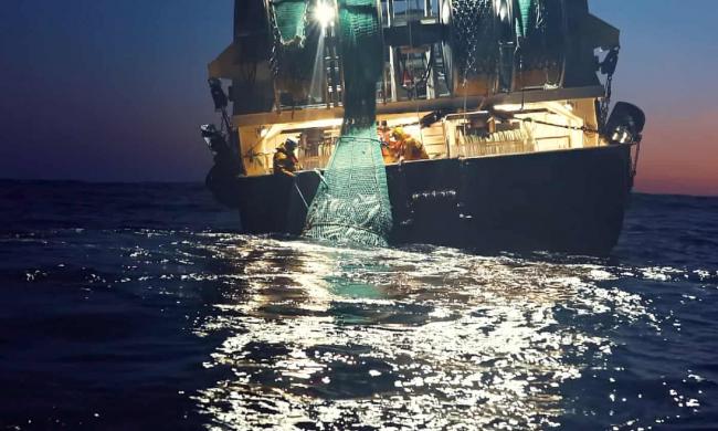 ‘t’s time to see the oceans in a new light.’ Still from the documentary Seaspiracy. Photograph: Sea Shepherd