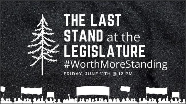 First Nations, forestry reform and old growth activists are inviting BC Premier John Horgan and cabinet to a press conference, Friday June 11