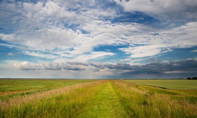  The Wash, Lincolnshire. ‘Salt marshes can stash carbon 40 times faster than tropical forests.’ Photograph: Michael David Murphy/Alamy