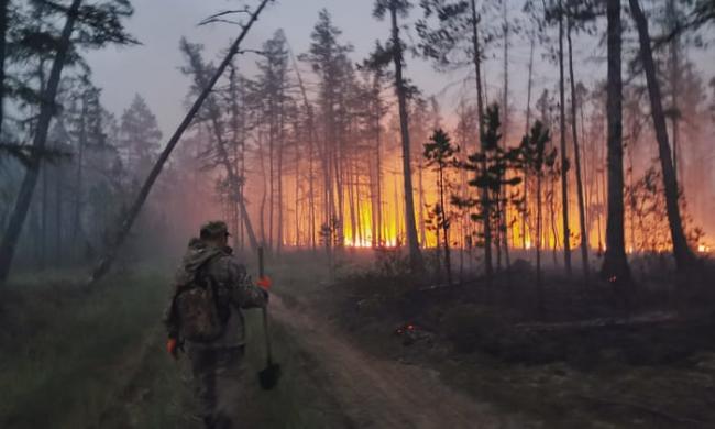 Siberia hit by unprecedented heatwave and forest fires – video report