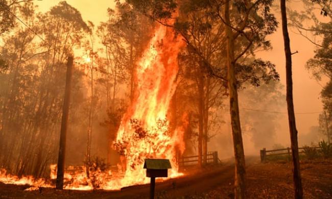 Fire going through a fence during a bushfire in Werombi, 50km south-west of Sydney. As of Saturday night, more than 100 fires were burning in NSW and more than 40 in Queensland. Photograph: Mick Tsikas/AAP