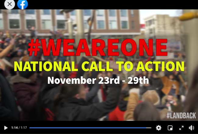 National Call To Act;ion November 2020
