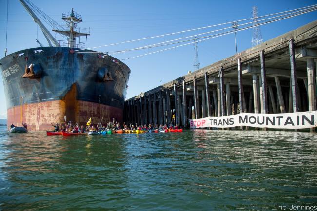 Mosquito fleet