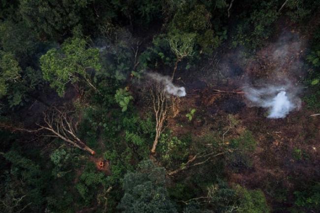This aerial photograph, taken on September 30, 2019, in Kahuzi-Biega National Park, northeastern Democratic Republic of Congo, shows an area devastated by logging. Credit: Alexis Huguet Getty Images
