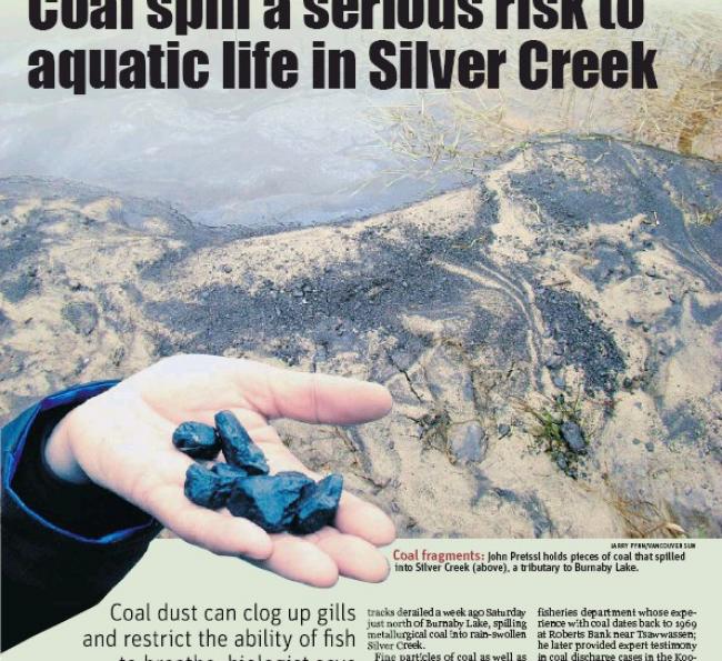 Coal spill a serious risk to aquatic life in Silver Creek