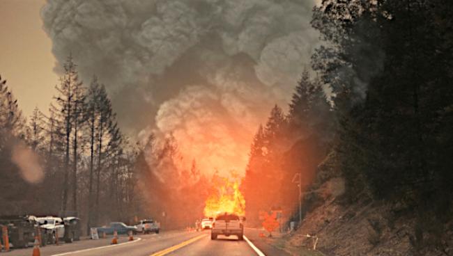 forest fire