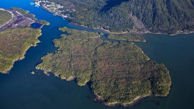 The proposed Pacific NorthWest LNG project would be built on Lelu Island, near eelgrass beds that nurture young Skeena salmon. (www.lonniewishart.com/Pacific Northwest LNG)