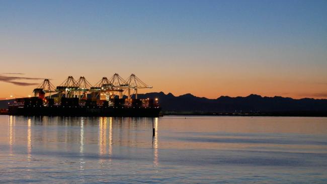 Scientists have warned the Roberts Bank Terminal 2 port expansion will impact more than 100 species of concern in the heart of the Fraser River estuary.