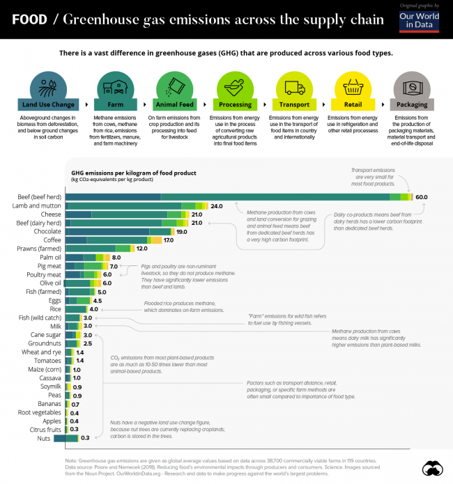 The Carbon Footprint of the Food Supply Chain Biology Diagrams