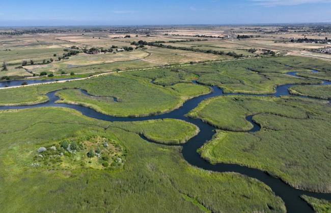 The Dutch Slough Restoration Project in Oakley, California was more than halfway completed on Aug. 1, 2023. The project is designed to create a powerful carbon sink while restoring wetlands to bring back native wildlife. Jane Tyska / Bay Area News Group