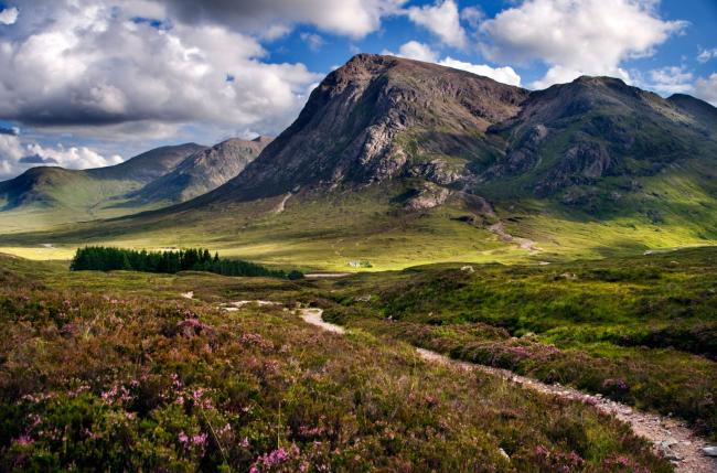 The rural land market in Scotland is booming and analysts expect demand to continue rising | Loop Images Ltd / Alamy Stock Photo