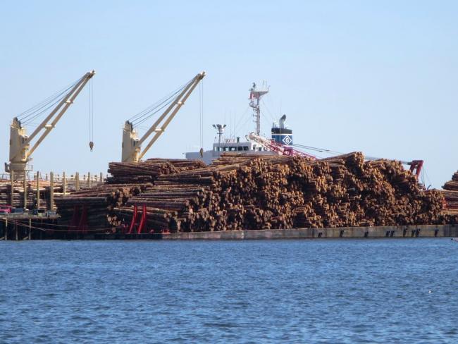 Halting the export of raw logs and adding value-added manufacturing in BC is one step to preserving jobs and strengthening communities. Photo by David Stanley via Flickr, Creative Commons licensed.