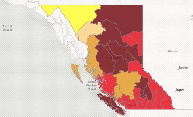 Level 4 and 5 (high to extreme) drought conditions impacted more than 80% of B.C.'s river basins as of Aug. 4, 2023.B.C. government