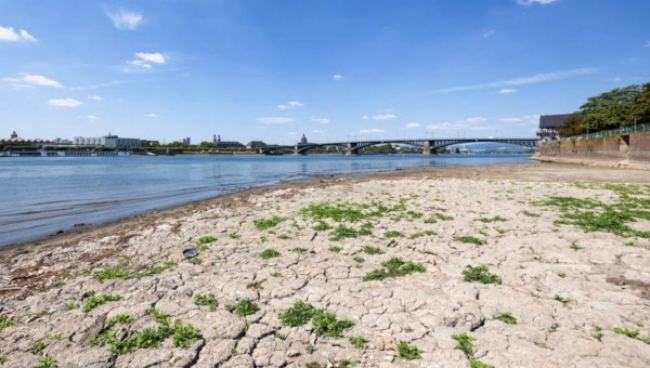The River Rhine running dry