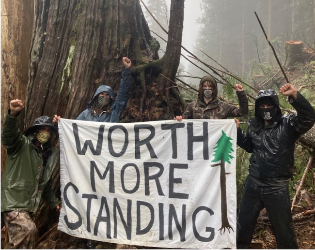 Members of one of the Fairy Creek blockade camps set out to deter old-growth logging in cut blocks on southern Vancouver Island. Photo courtesy of Fairy Creek blockade