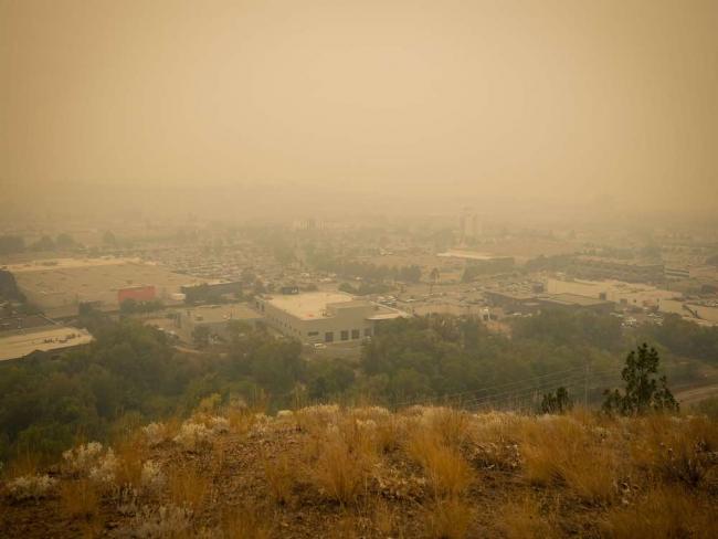 As the Okanagan Valley filled with wildfire smoke, foreign farmworkers faced an uncertain future. Photo by Darryl Dyck, the Canadian Press.