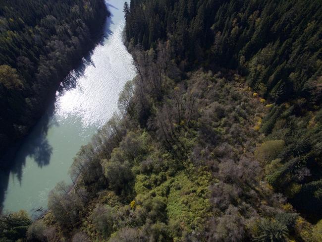 The Ts'msyen forest garden in northwestern B.C. is part of a groundbreaking new study by Simon Fraser University. PHOTO BY STORM CARROLL