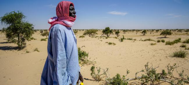 UNDP Chad/Jean Damascene Hakuzim Desertification threatens the village of Tantaverom. Mbo Malloumu has taken the initiative to plant acacia seedlings to rehabilitate the land. In the past 50 years, Lake Chad basin shrank from 25,000 square kilometers to 2,000square kilometers.