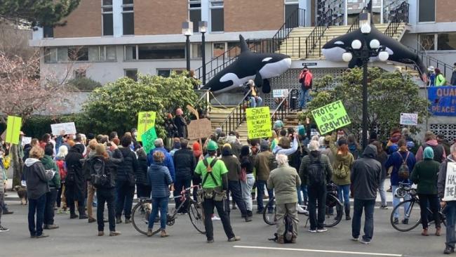 Activists are seen gathered outside the provincial courthouse in Victoria on March 4 protesting the injunction that was granted to forestry company Teal-Jones on April 1:(CTV News)