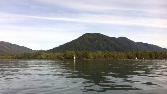Lelu Island, site of an LNG export terminal proposed by Pacific NorthWest LNG. The group has offered $1-billion to the Lax Kw’alaams in exchange for their consent. (Brent Jang/The Globe and Mail)