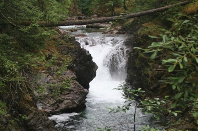 The falls on the Little Qualicum River