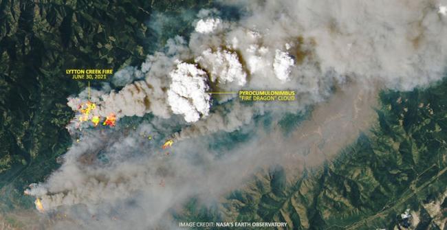 The most extreme wildfires in B.C. are now creating their own weather. Photo by NASA Earth Observatory