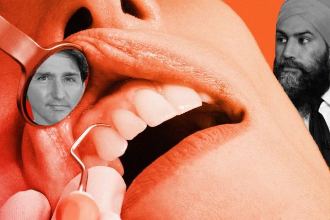 NDP/Lib dental image