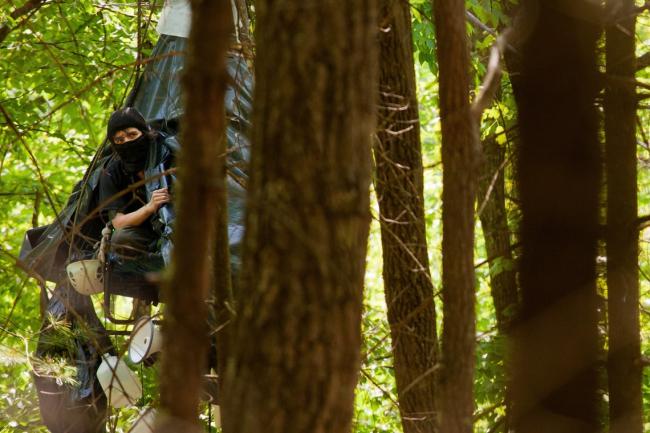 Mountain Valley Pipeline protester ‘Nutty’ looks out from her monopod in the Virginia forest on her 49th day 45ft above the ground. Photograph: Garrett MacLean for the Guardian