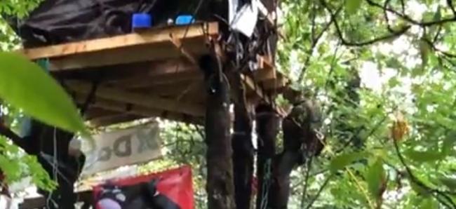 RCMP tactical officers removed tree houses built by protestors trying to block Trans Mountain pipeline expansion work to continue. Screen shot/Twitter