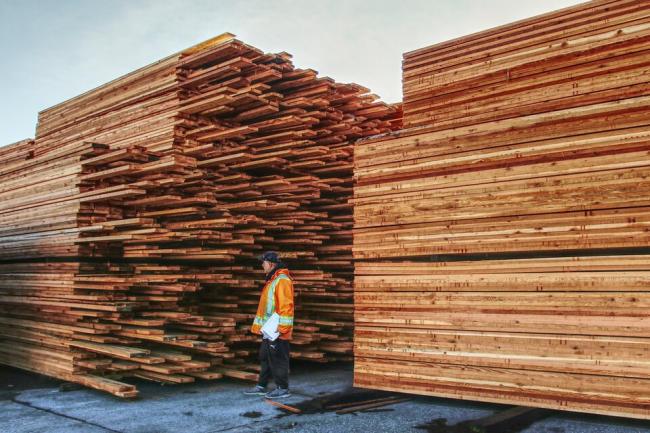 The independent review found B.C.'s logging models for the Mackenzie timber supply region used wildly unrealistic assumptions, and ignored real-world risks like increased wildfire, drought and disease in a pattern likely playing out across the province.Rob Kruyt/BIV