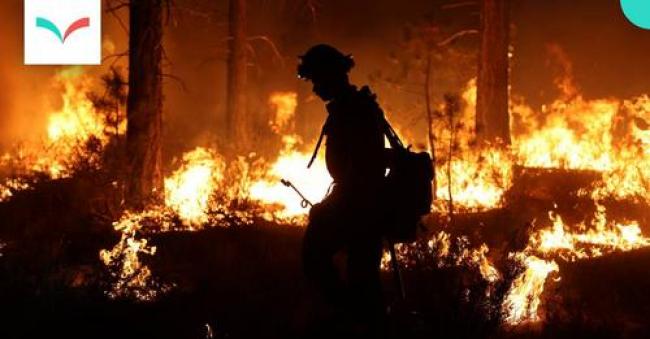 Photo: Firefighter working the Dixie wildfire in California, taken August 2021. (California Department of Forestry and Fire Protection / Flickr)