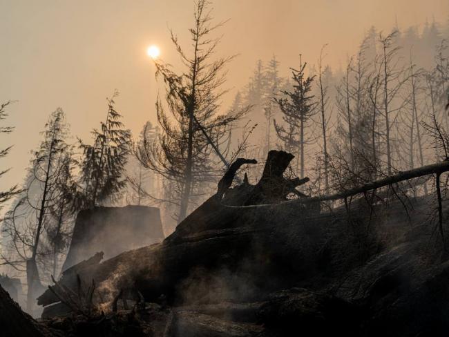 A wildfire near Sayward, BC, in June 2023, part of the most destructive wildfire season on record. Fires tied to the climate emergency must be considered alongside an increasingly inequitable economic landscape, say the authors. Photo by Seth Scott.