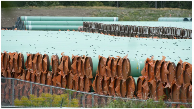 Pipes for the Trans Mountain pipeline project are seen at a storage facility near Hope, B.C. (THE CANADIAN PRESS/Jonathan Hayward)