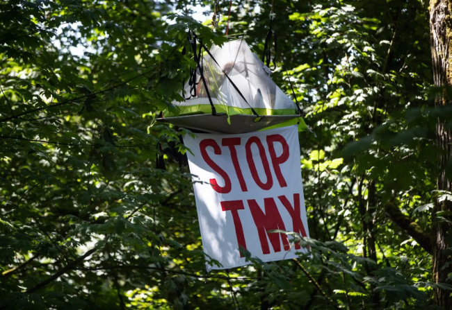 Tree Sit - Stop TMX