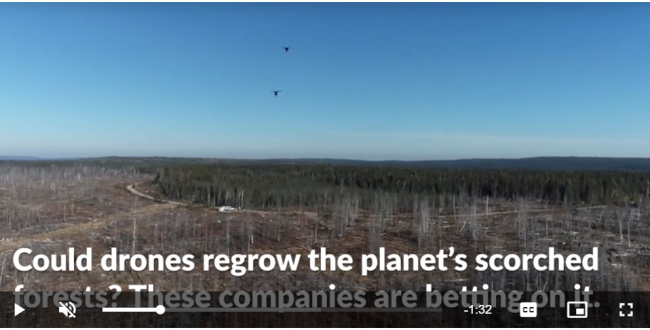 Drones Replanting Burned Forests?