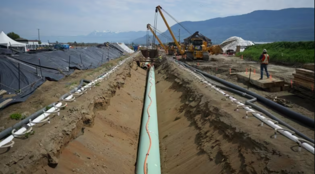 Workers lay pipe during construction of the Trans Mountain pipeline expansion on farmland in Abbotsford, B.C. on May 3, 2023. (Darryl Dyck/The Canadian Press)