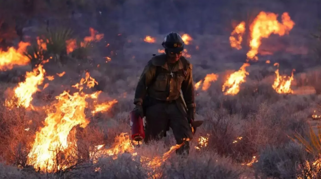 A firefighter tackles a wildfire in the Mojave National Preserve, California, on 30 July 2023 (AFP)