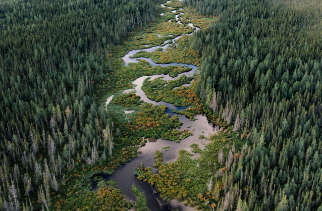 Flying over the Hudson Bay Lowlands to the Ring of Fire in Northern Ontario.