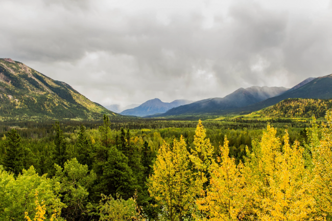 The proposed Prince Rupert Gas Transmission project pipeline will cut east to west across roughly 900 kilometers of northern B.C. Photo by Jason Drury/Flickr