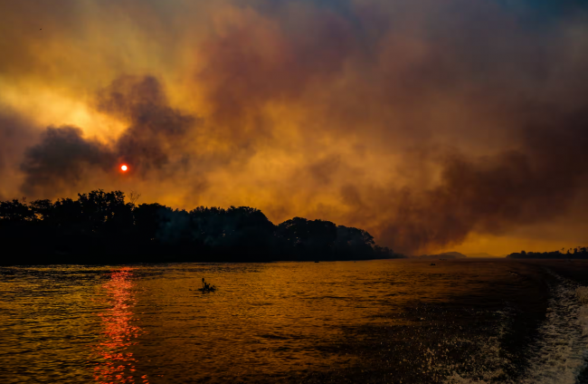 ‘Nature is raising a flag’: more than 760,000 hectares have burned in the Pantanal already this year. Photograph: Harriet Barber