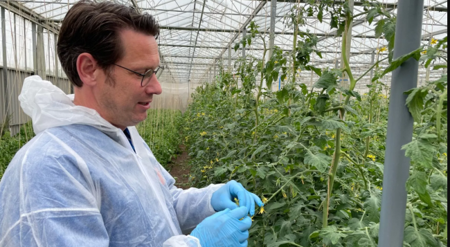 worker in greenhouse - Copyright Raluca Besliu/Katharina Wecker