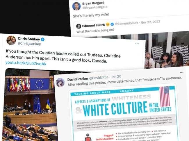 The BC Conservatives could be challenged on social media history, says a UBC political science professor. Collage by Tyee staff.