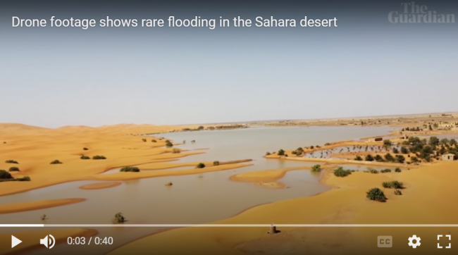 Drone footage shows rare flooding in the Sahara desert