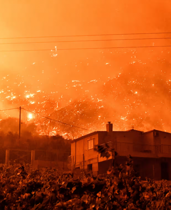 Photograph: Valérie Gache/AFP/Getty Images Panagiotis, a student and volunteer firefighter, ended up defending his own home when a wildfire broke out in the summer. The Attica wildfires killed one person and burned more than 8,000 hectares of forest and land, including many homes. Dozens of people were hospitalised due to smoke inhalation.