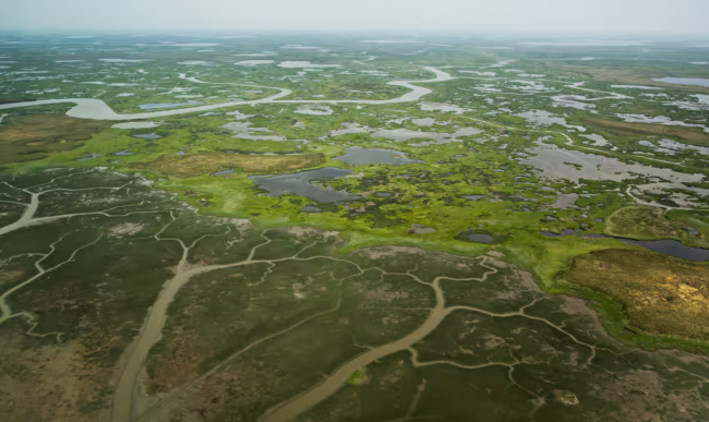 Near Newtok in Alaska, melting permafrost is causing the Ninglick River to widen and erode its banks. Photograph: Andrew Burton/Getty Images